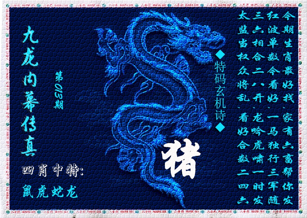 013期九龙内幕传真(新上市)[图]