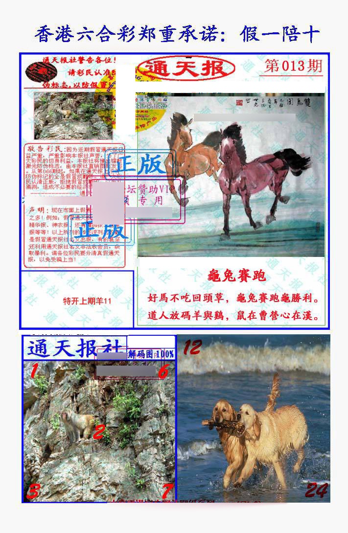 013期假一陪十通天报[图]