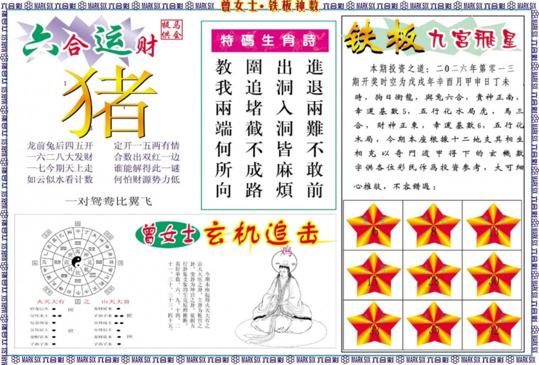 013期曾女士铁板神数B[图]