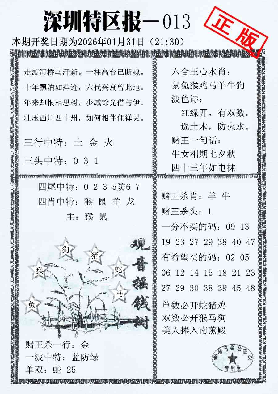 013期深圳特区报A[图]