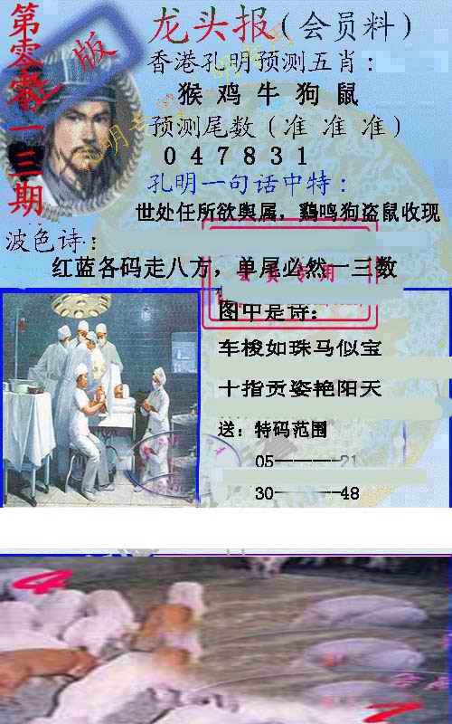 013期龙头报[图]