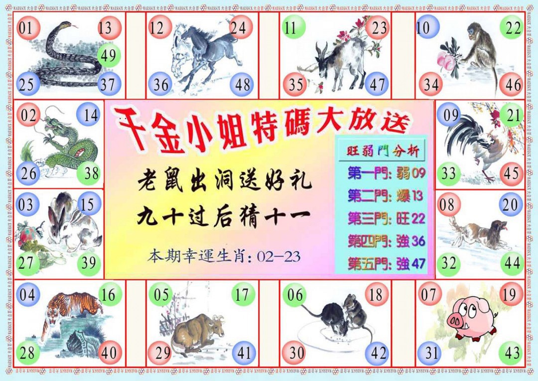 013期千金小姐B版[图]