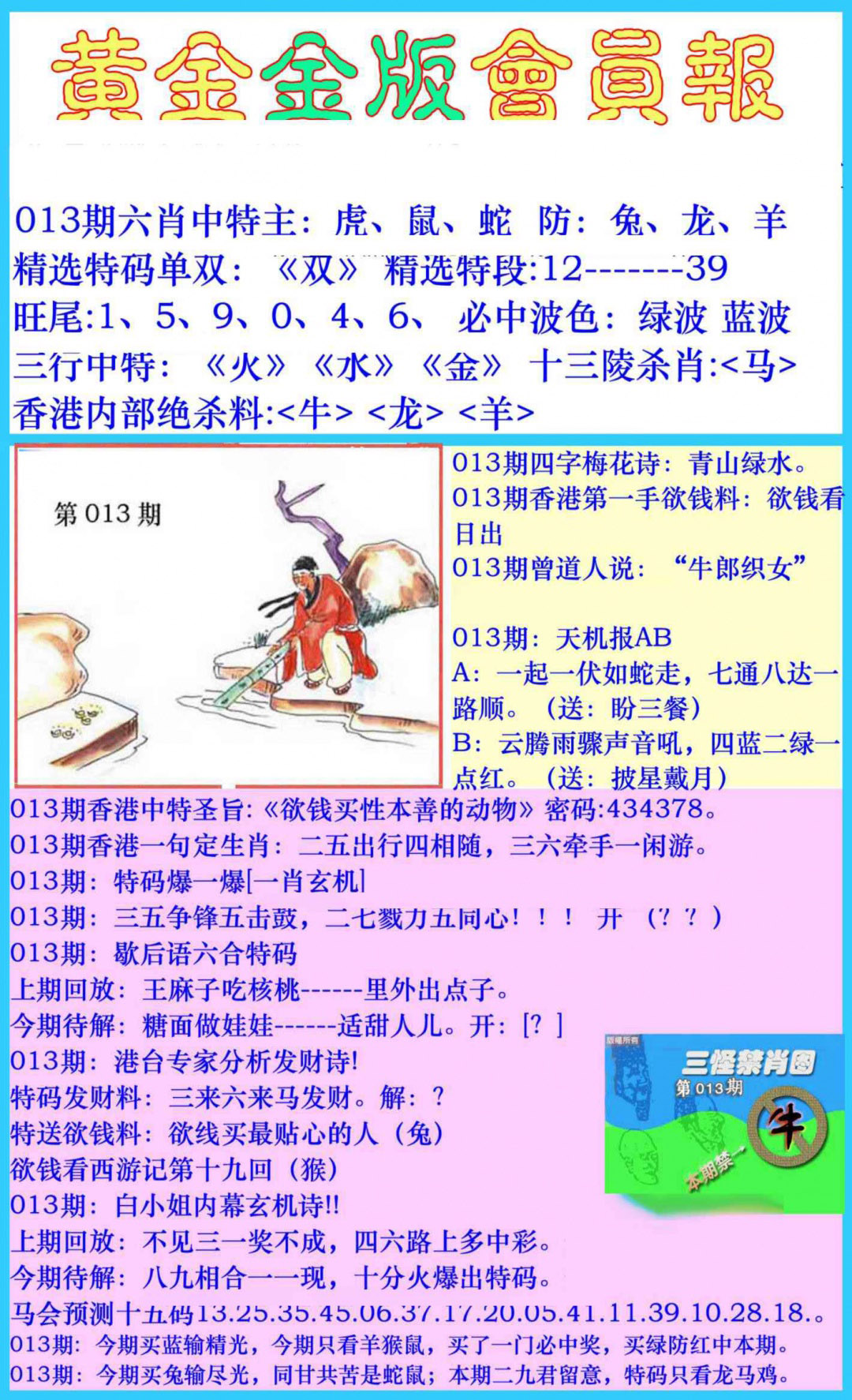 013期黄金金版会员报[图]