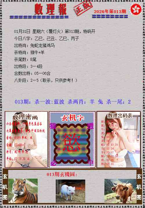 013期数理报[图]