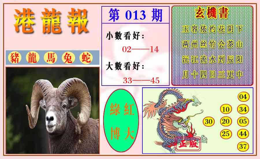 013期港龙报[图]