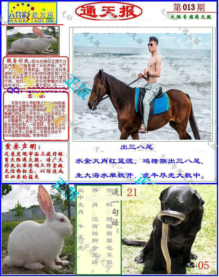 013期大陆通天报[图]