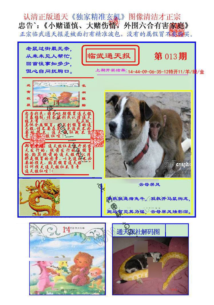 013期临武通天报[图]