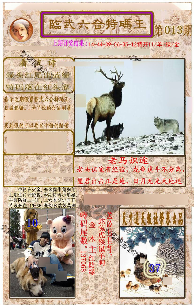 013期临武六合特码王[图]