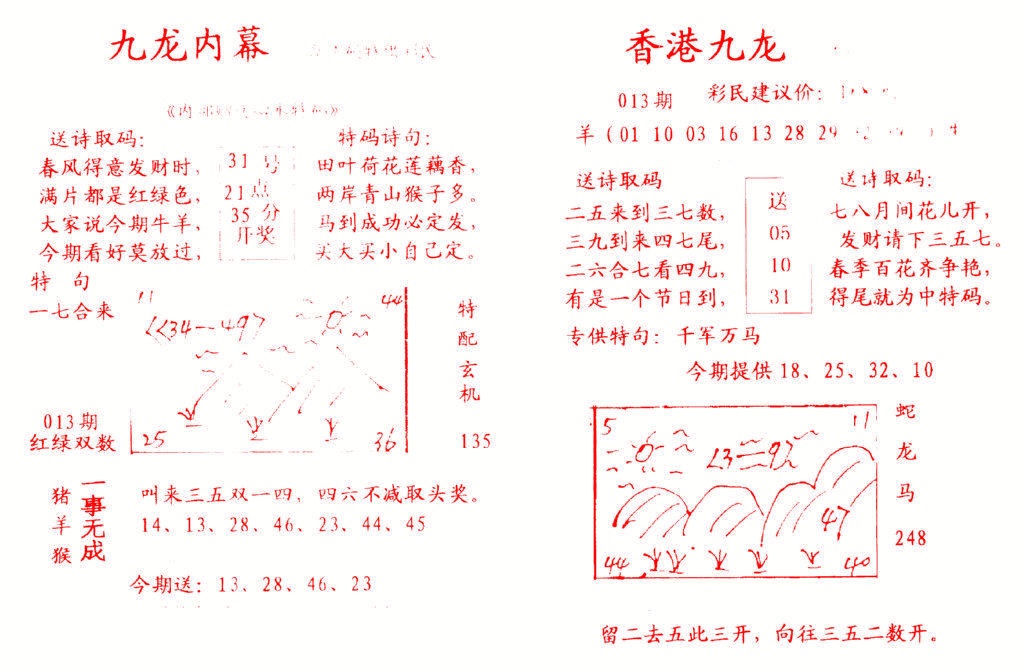 013期九龙内幕[图]