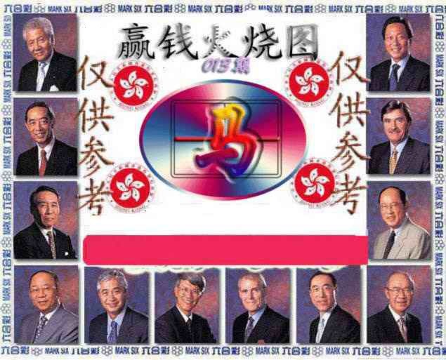 013期赢钱火烧图[图]