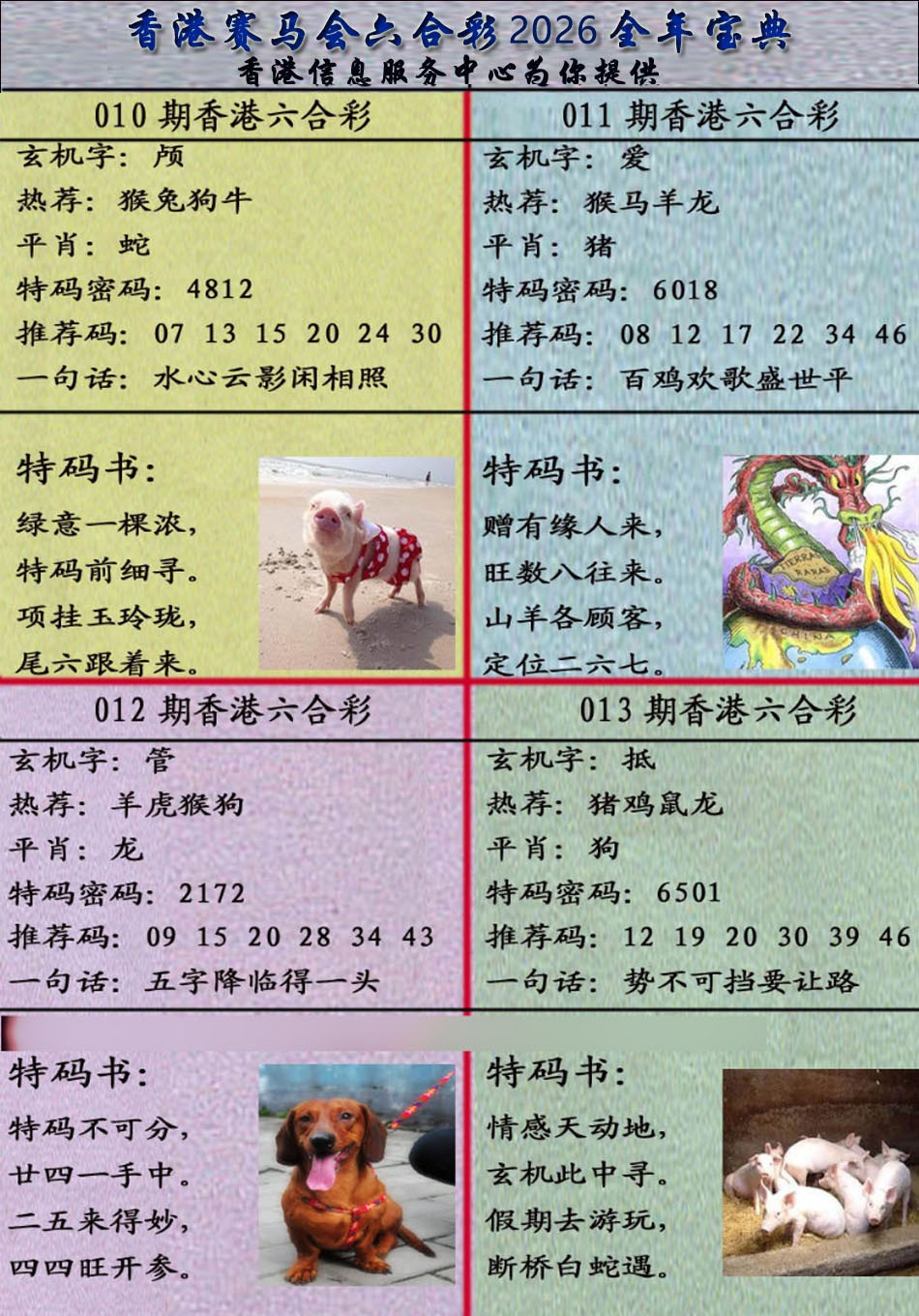 013期宝典报[图]