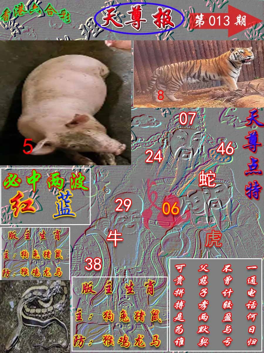 013期天尊报[图]
