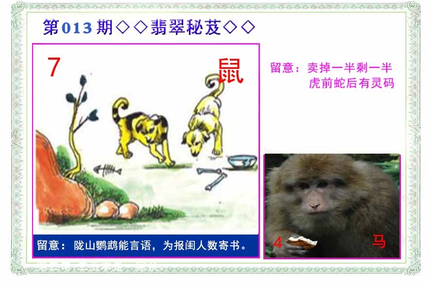 013期翡翠报[图]