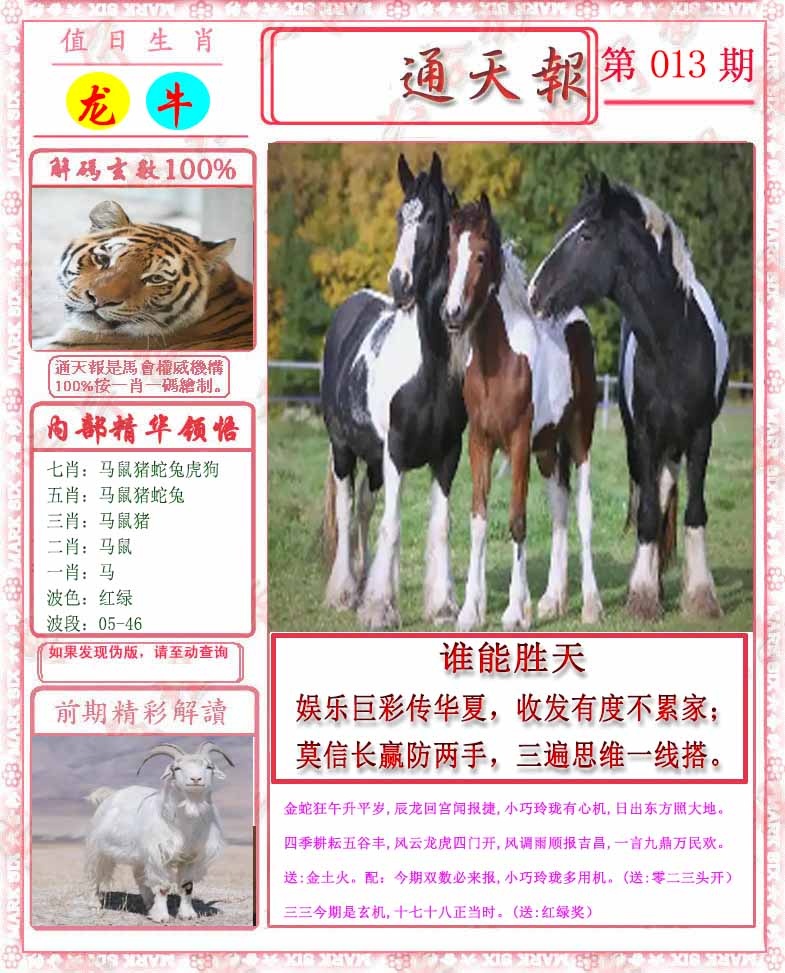 013期马经通天报[图]