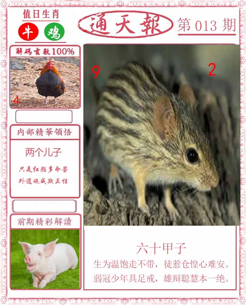 013期正版通天报[图]