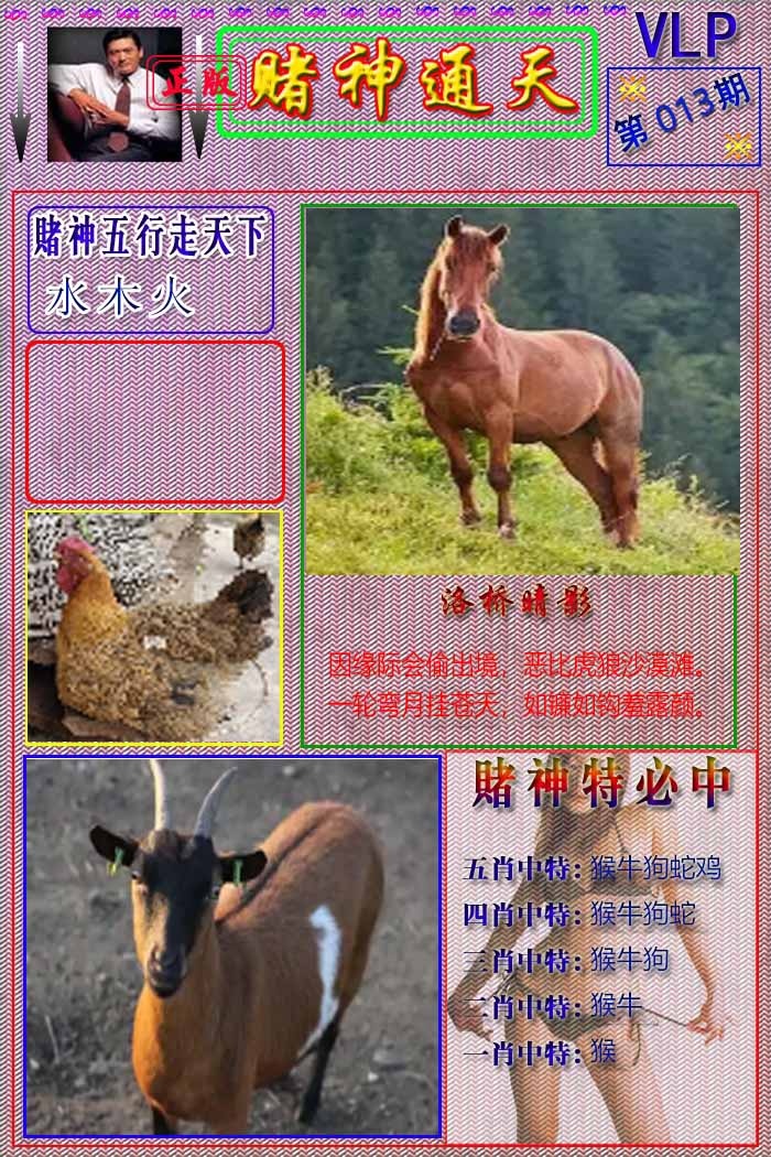 013期赌神通天报[图]