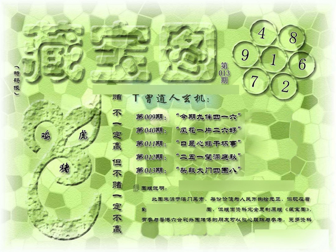 013期假新藏宝图[图]