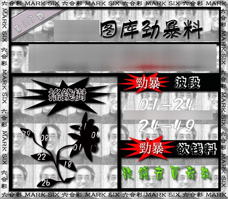 013期劲暴来料{正版}[图]