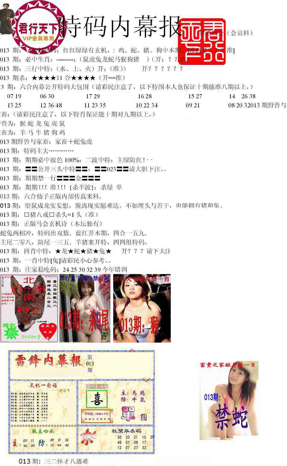 013期特码内幕报[图]