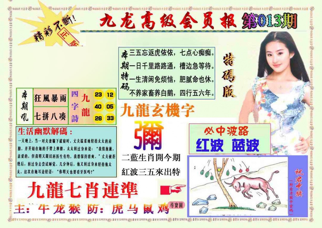 013期九龙高级会员报[图]