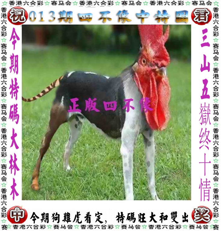 013期正版四不像[图]