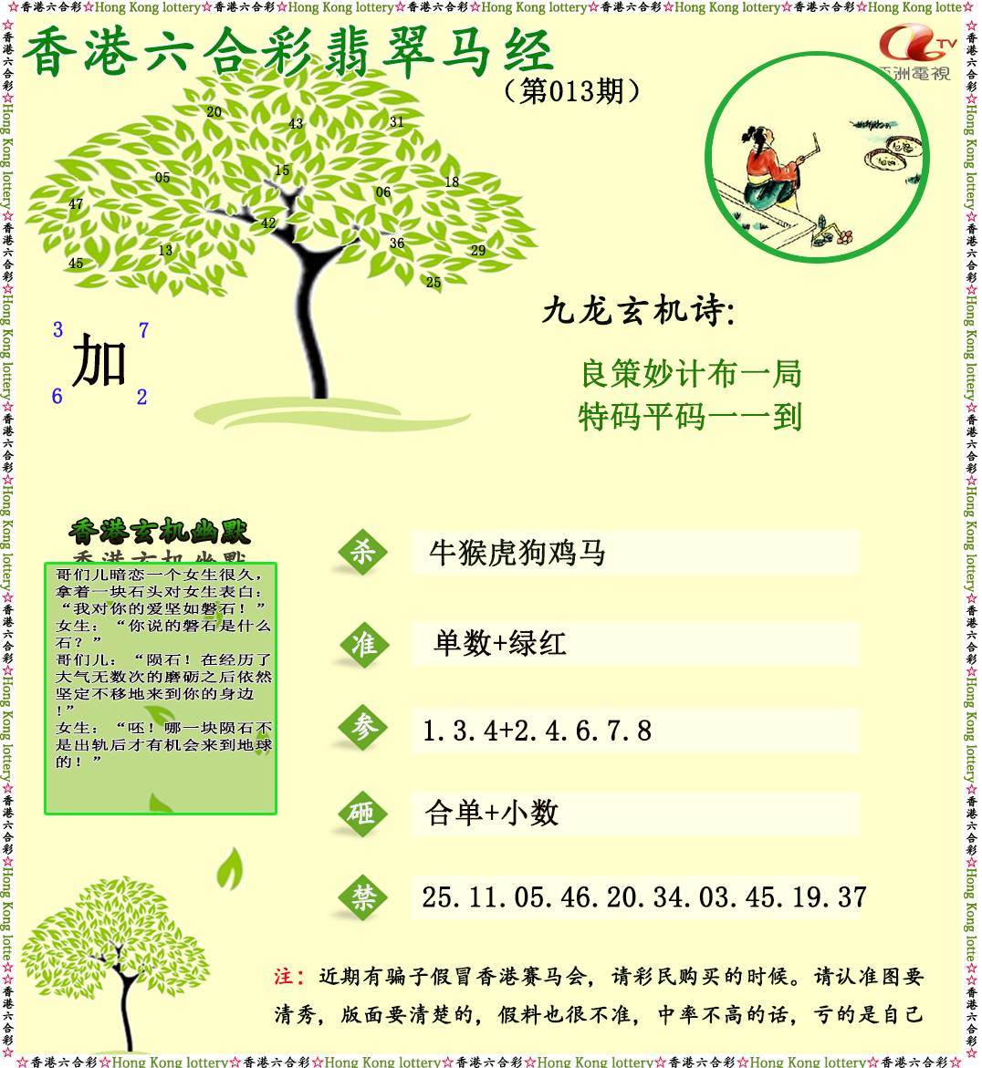 013期翡翠马经[图]