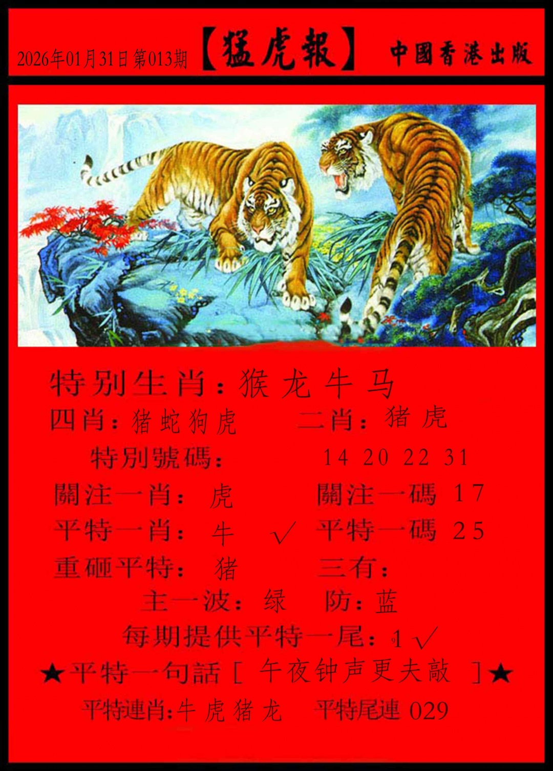013期猛虎报[图]