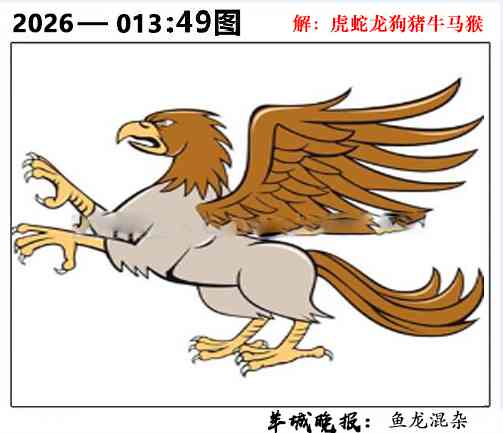 013期49图[图]