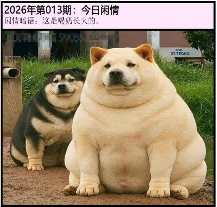 013期另版今日闲情[图]