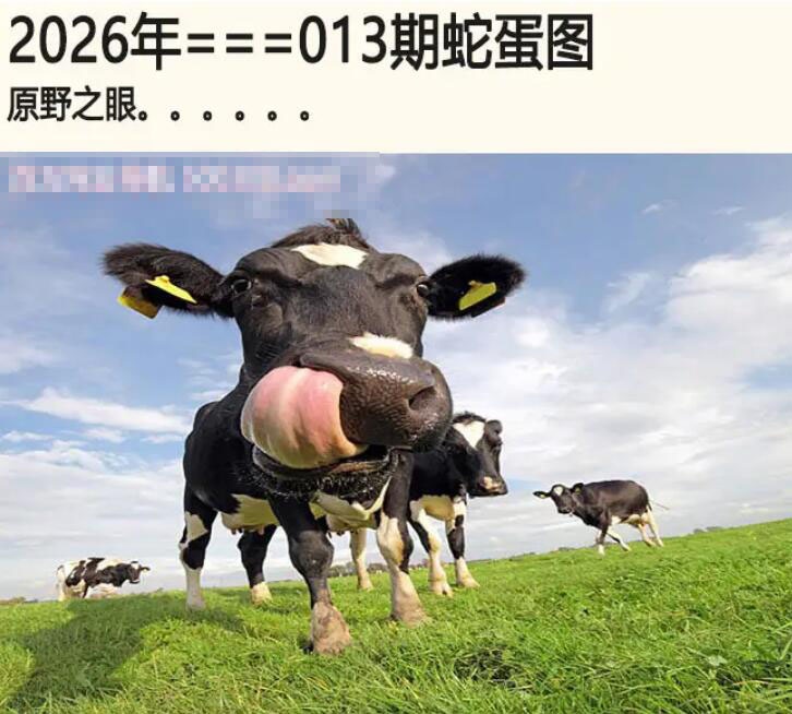 013期另版蛇蛋图[图]